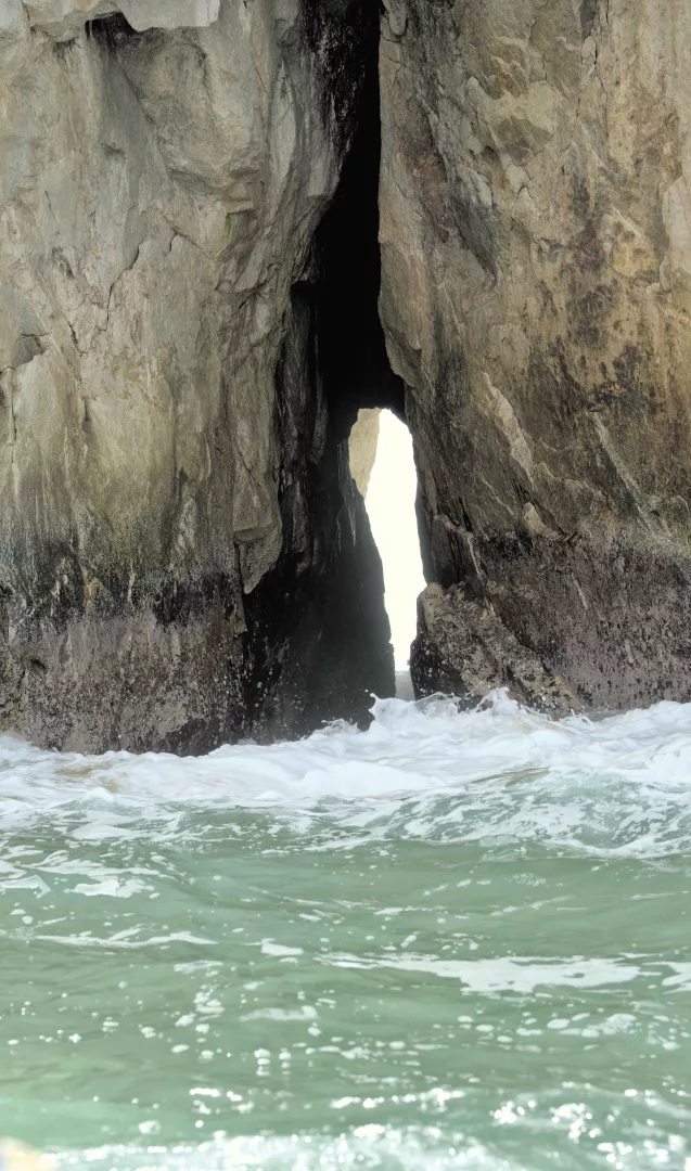 Observation des baleines à bosse, de l'arche et des formations rocheuses