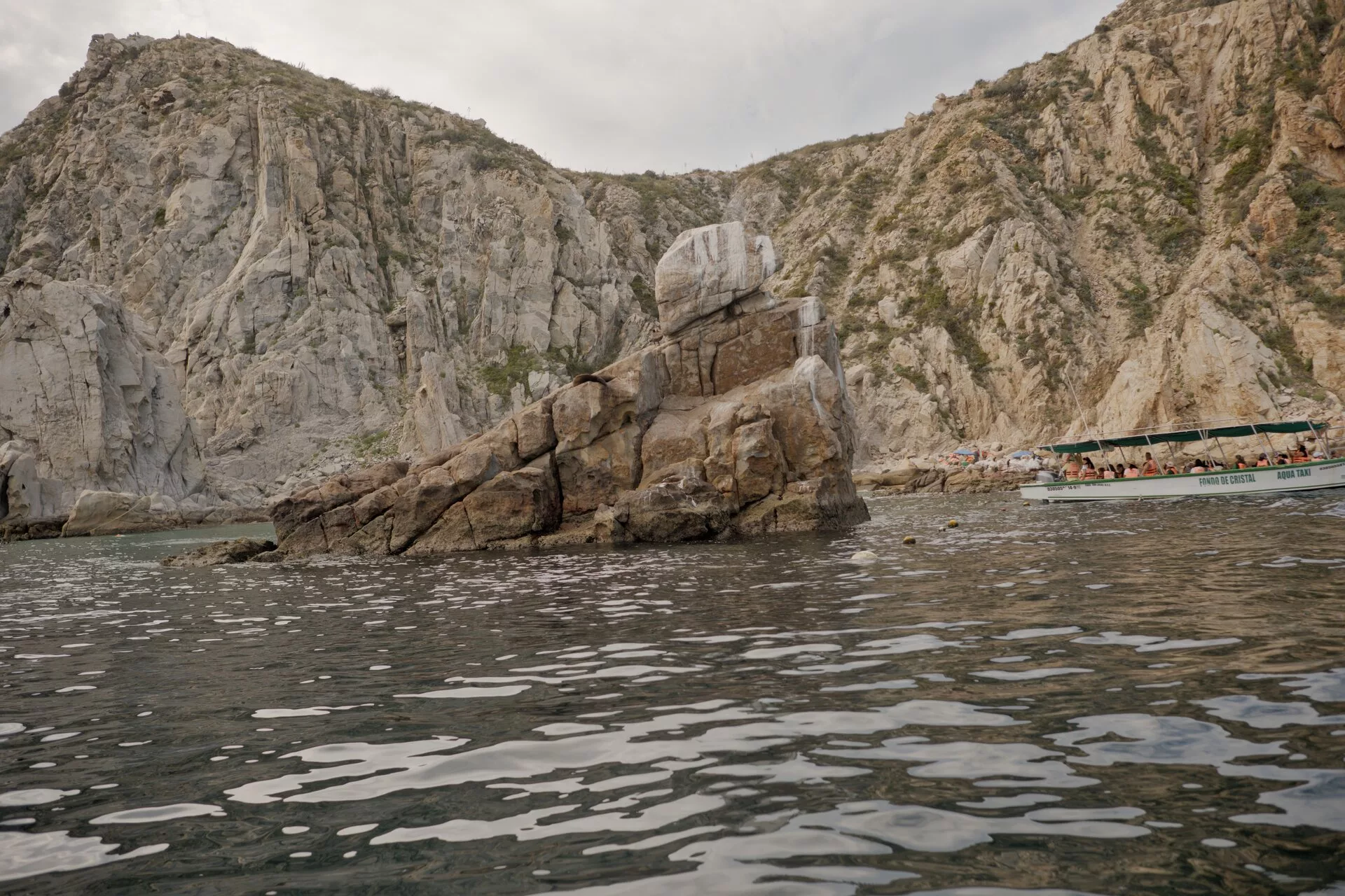 Observation des baleines à bosse, de l'arche et des formations rocheuses