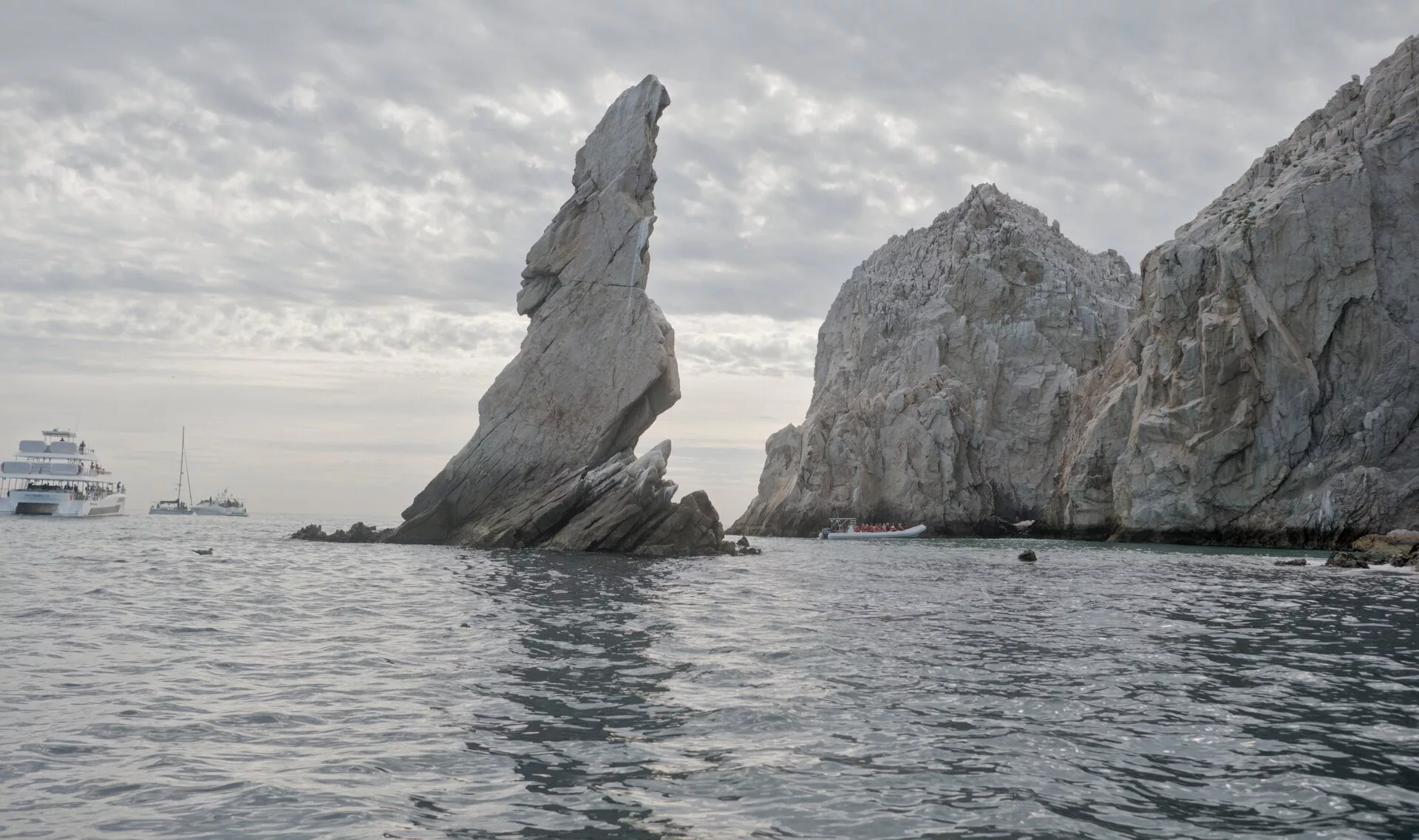 Observation des baleines à bosse, de l'arche et des formations rocheuses