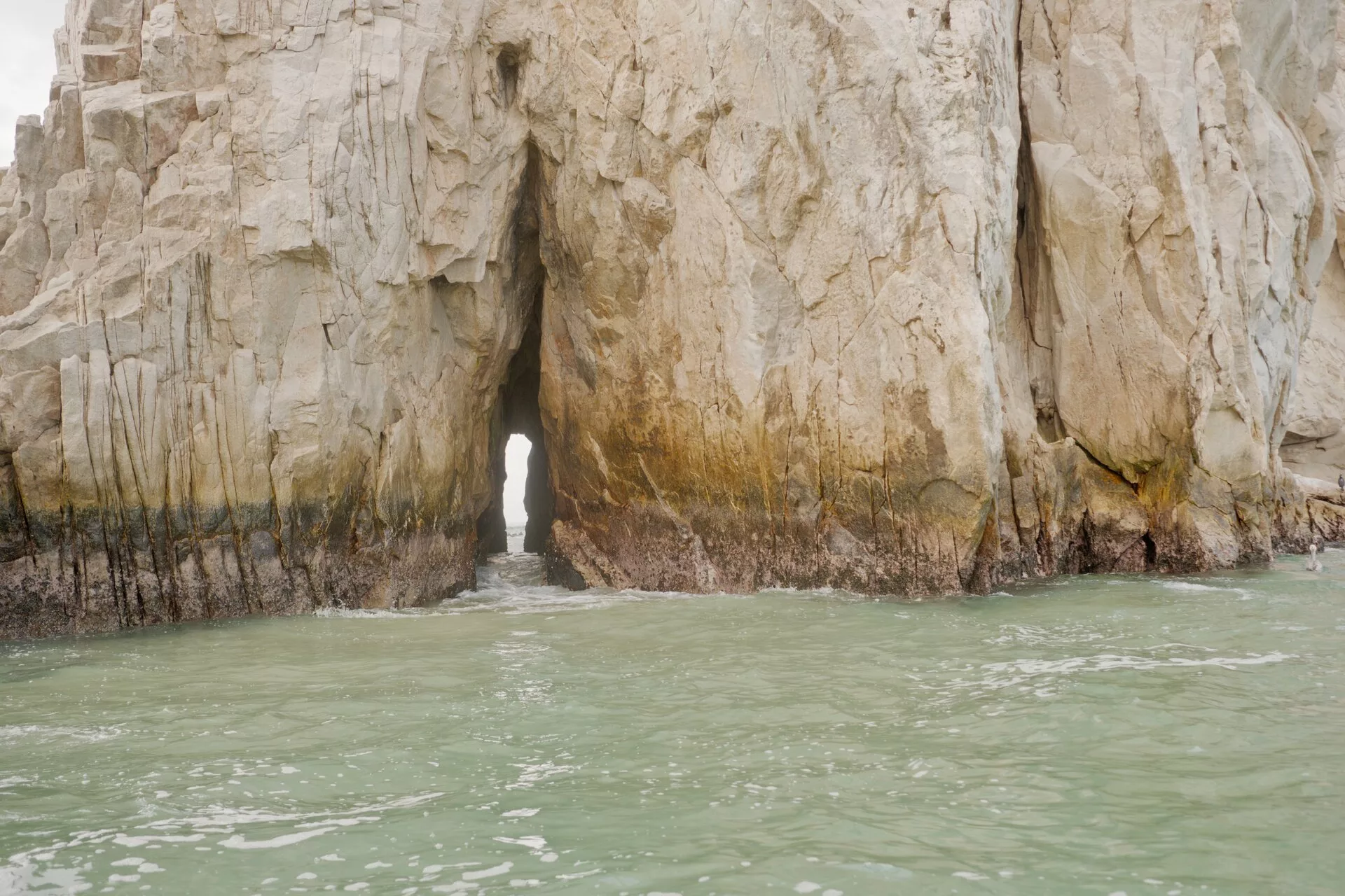 Observation des baleines à bosse, de l'arche et des formations rocheuses
