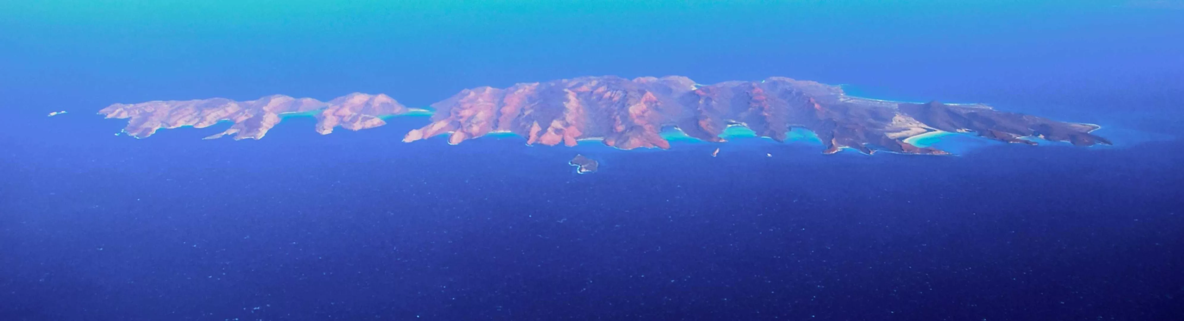 Île Espiritu Santo et nager avec les lions des mers