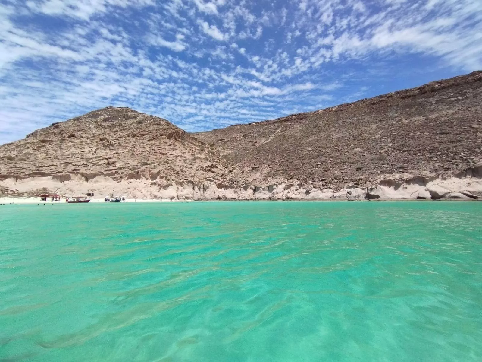 Île Espiritu Santo et nager avec les lions des mers