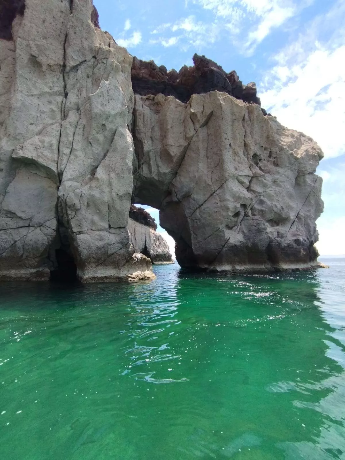 Île Espiritu Santo et nager avec les lions des mers