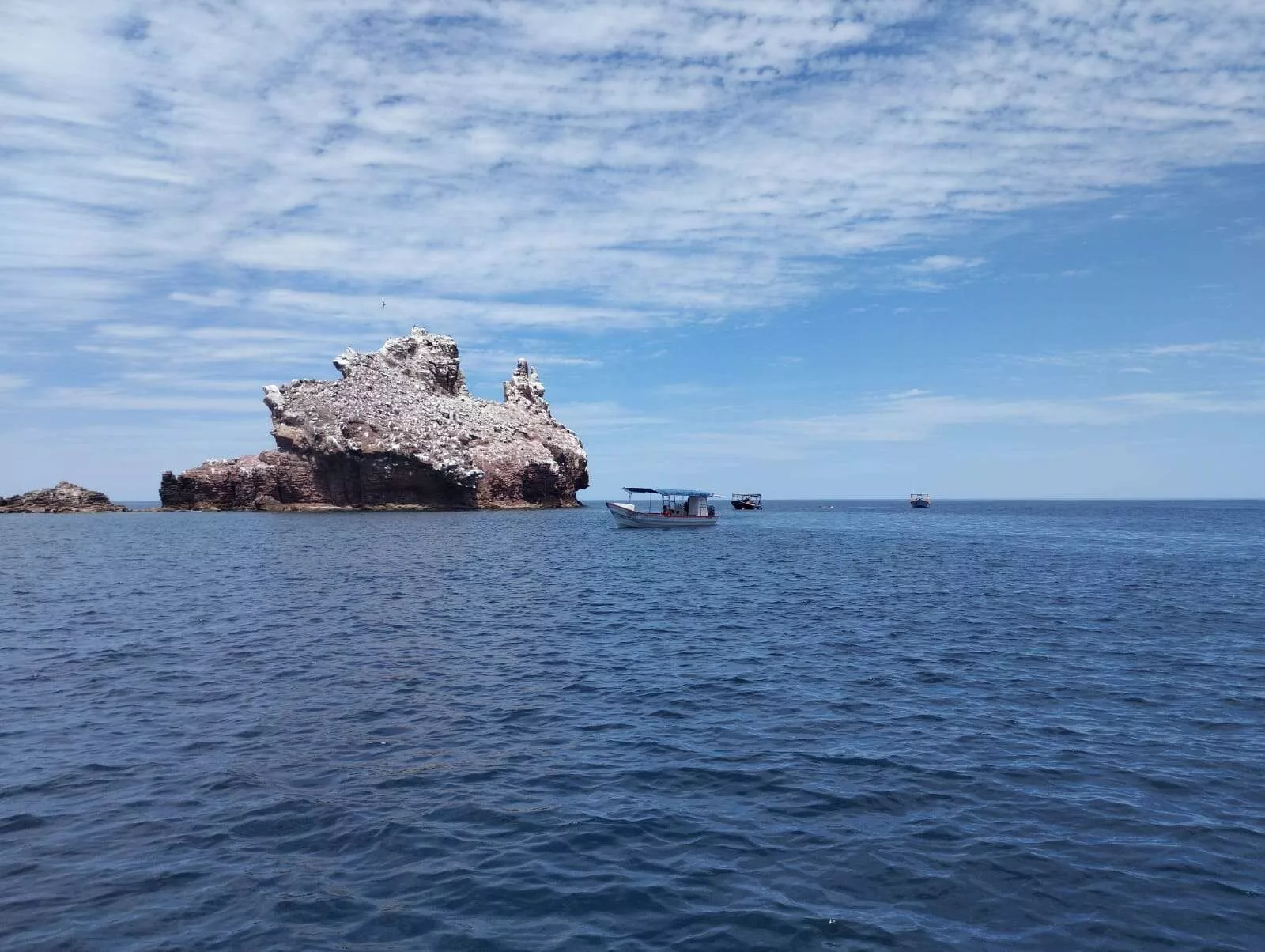 Île Espiritu Santo et nager avec les lions des mers