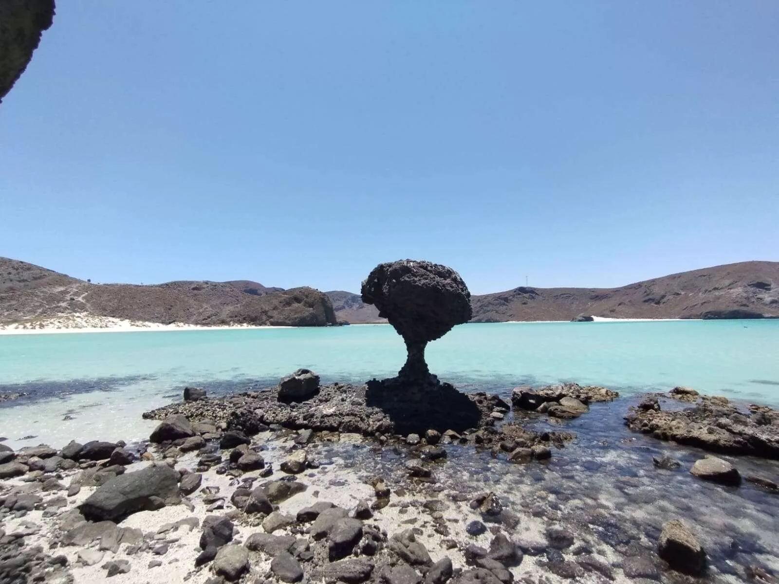 Île Espiritu Santo et nager avec les lions des mers